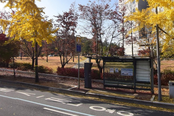 카이스트 동문 정류장 전경